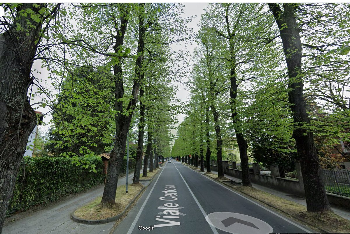 E questo è come è stato ridotto il viale di certosa di pavia, viale storico perché è quello che porta all'antico monastero. 

guardate che schifo, spaventapasseri, dovrebbero volare lettere di insulti altro che i cappotti a settembre