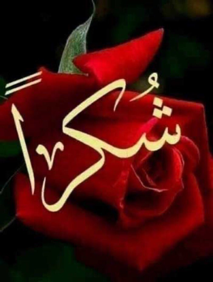 @nor3rh @Humacom1 @__Libra1 @1_sfa1 @1Aara_ @IK151 @M_Sial6 @hmb_16 @kashii79 @Sadii5k @OdriSeva @NIK_563 @Iqb9786 @sulilove1 @Mahi_k2 @k_6340 @As_t40 @Aqeel092 @1adann @mrl_q20 @1ahmds @9rrgr @1Mahii1 @_i1ic @fwad24 @MIG9T Wonderful Mention 💕🥀💕🥀