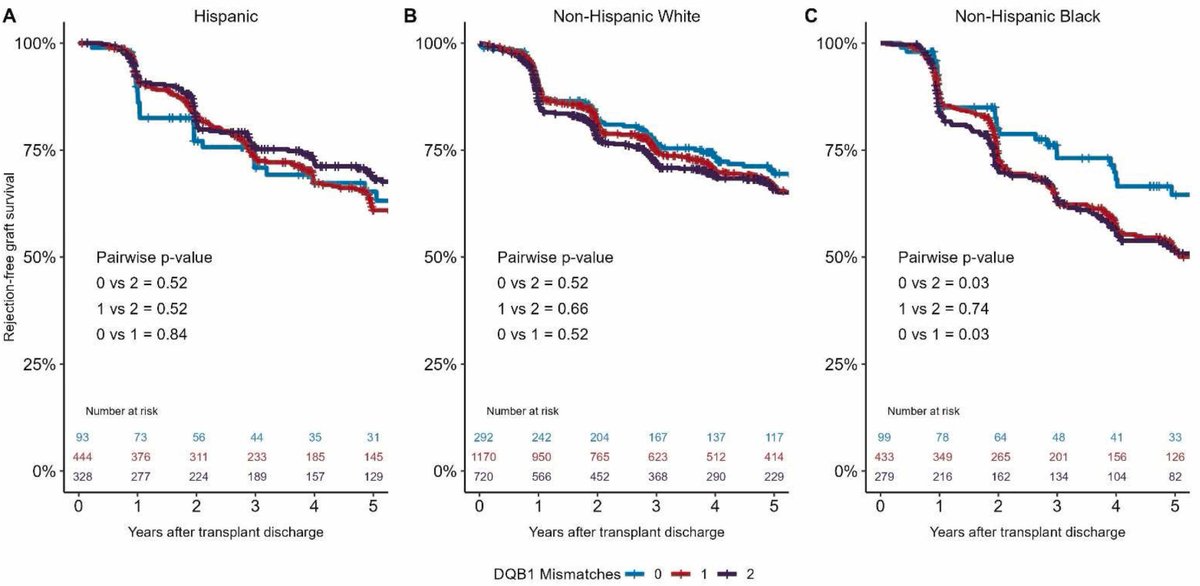 Limited DQ matching at time of transplant may reduce rejection and improve outcomes in pediatric heart transplant recipients and may help mitigate known racial disparities. @PedsHeartMD cc @ahajduczok @rachkataria 🔗: jhltonline.org/article/S1053-…