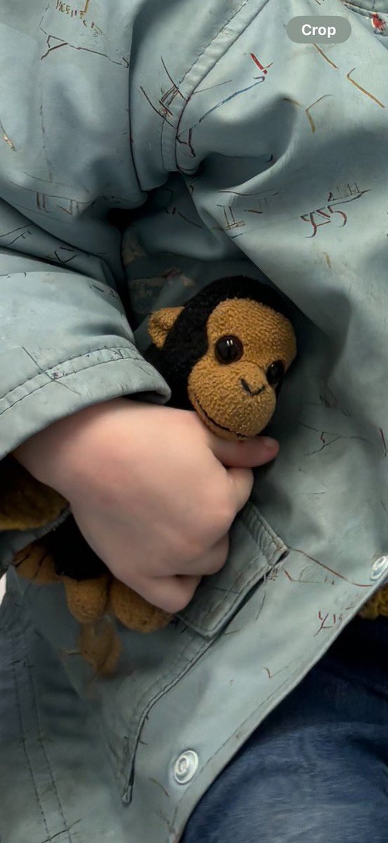 HigginsCasting's tweet image. Long shot, but has anyone seen or found ‘baby monkey’? 
Devastated 2yr old is waiting for him to come home. 
#Lost between #Archway and #TufnellPark
Share share share please, lovely people.