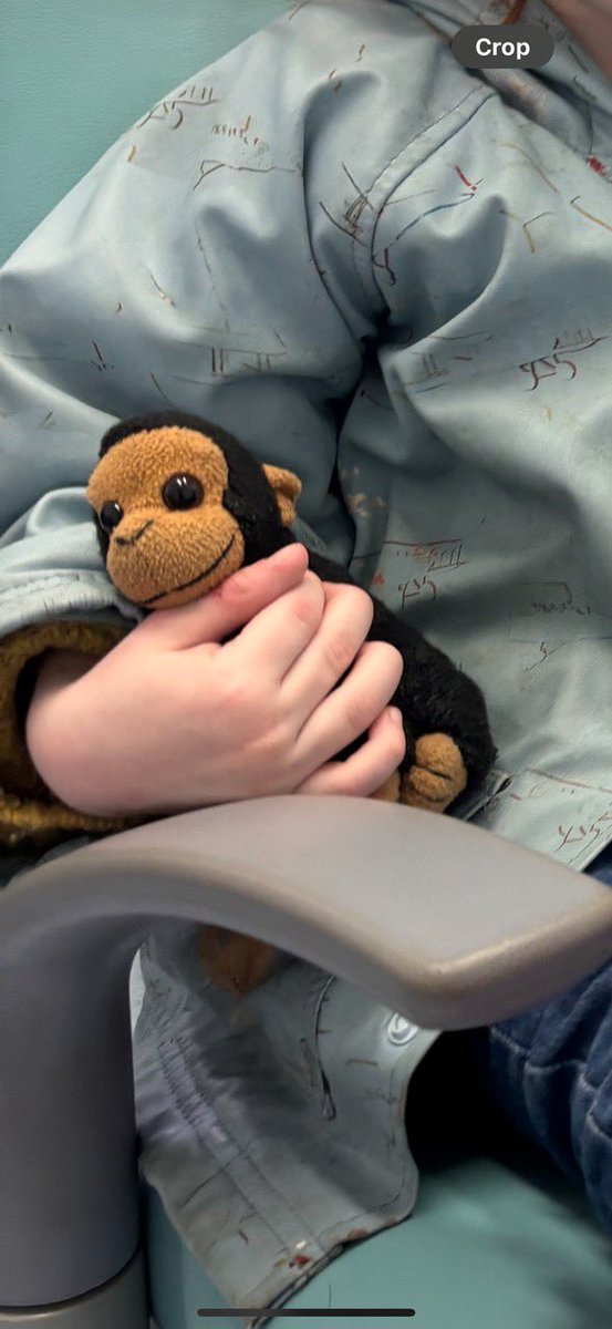 HigginsCasting's tweet image. Long shot, but has anyone seen or found ‘baby monkey’? 
Devastated 2yr old is waiting for him to come home. 
#Lost between #Archway and #TufnellPark
Share share share please, lovely people.