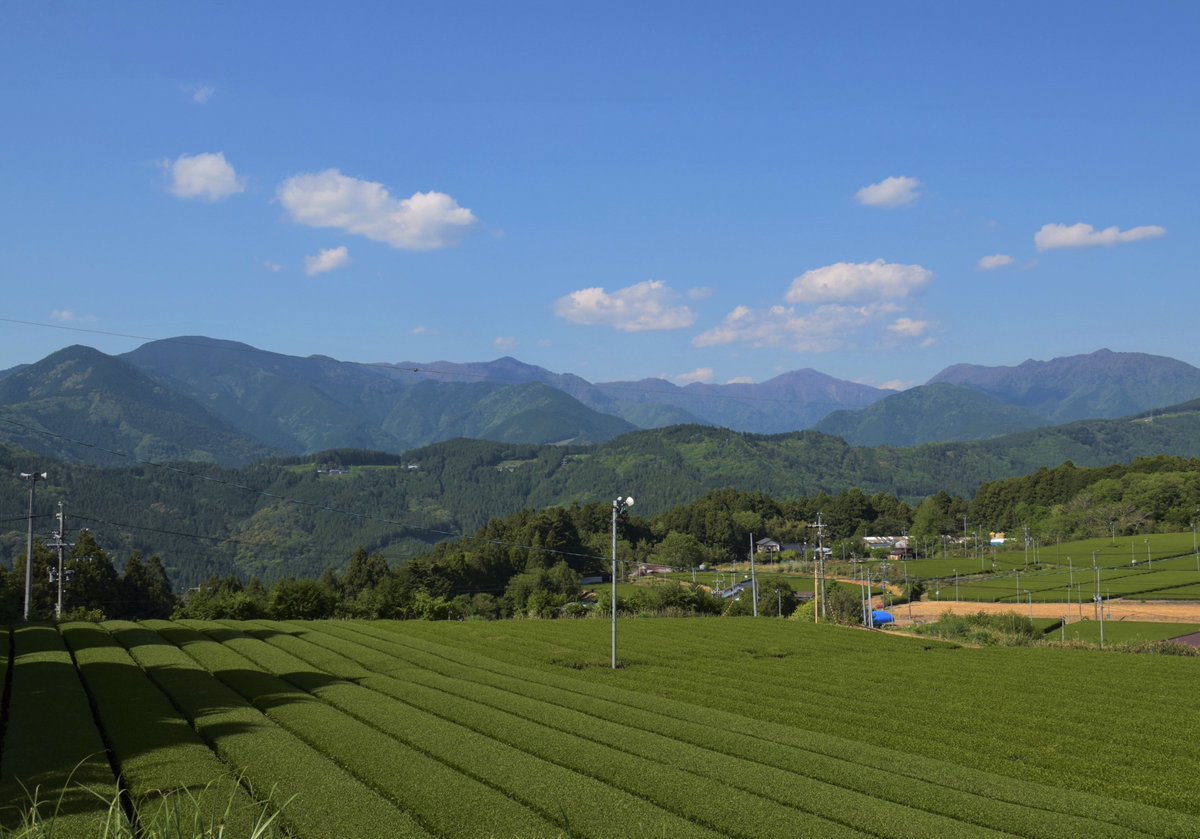 Harunocho, Tenryu Ward, Hamamatsu City
tea fields and mountains
浜松市天竜区春野町
茶畑と山々