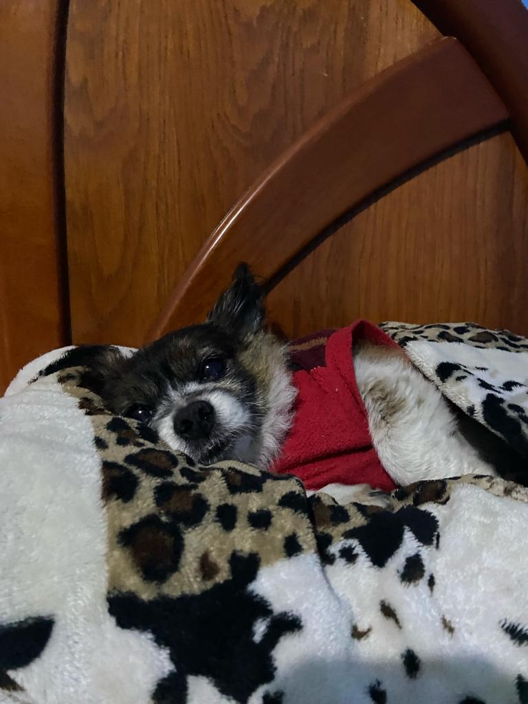 Nicewide tweet media