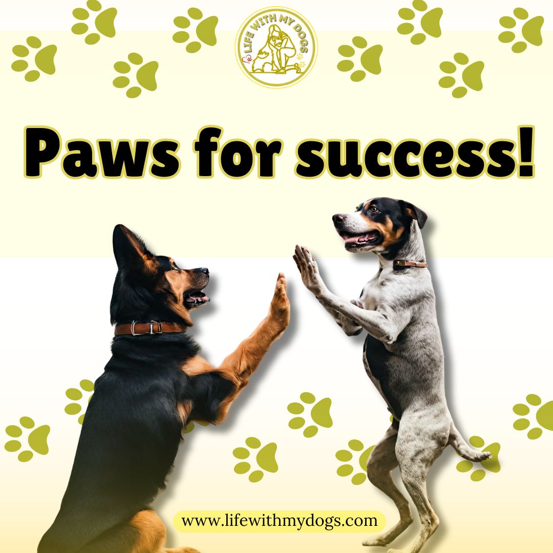 Paws up for success! Embrace each step of the journey with determination. 🐾💪 For more dog information, visit lifewithmydogs.com #dogmemes #happydogs #furbabies #lifewithmydogs