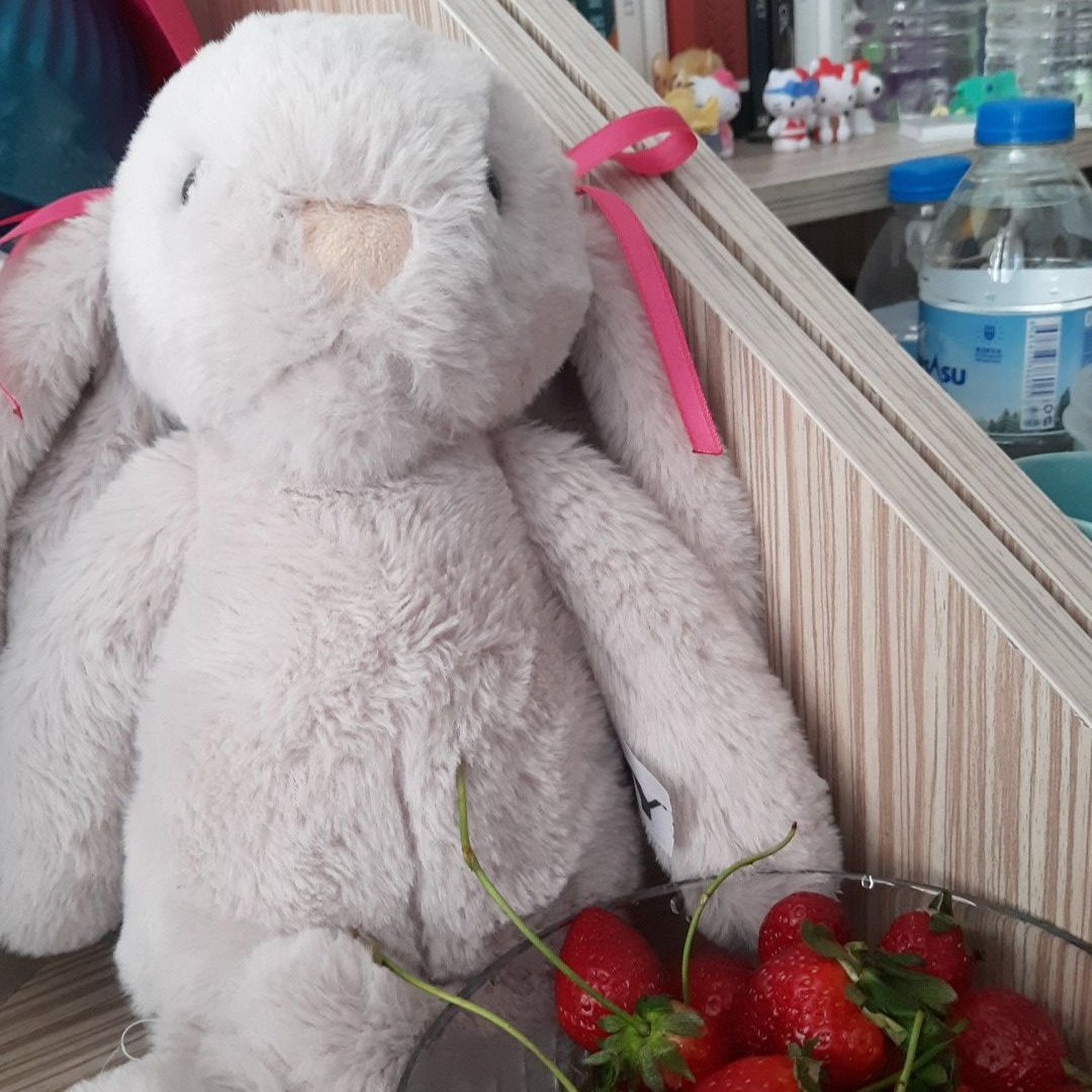 Ucube bi dump 🏩💗✨️🐇🍓💌🎀