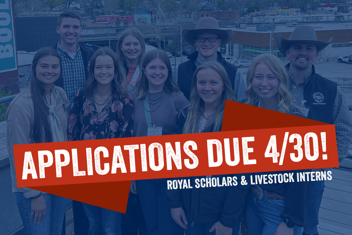The deadline to apply to be a 2024 Royal Scholar or Livestock Intern is quickly approaching! ⌛️Don't miss out on these incredible educational opportunities. Applications are due TOMORROW, April 30, at bit.ly/RoyalScholars #AmericanRoyal #WhereChampionsAreCrowned