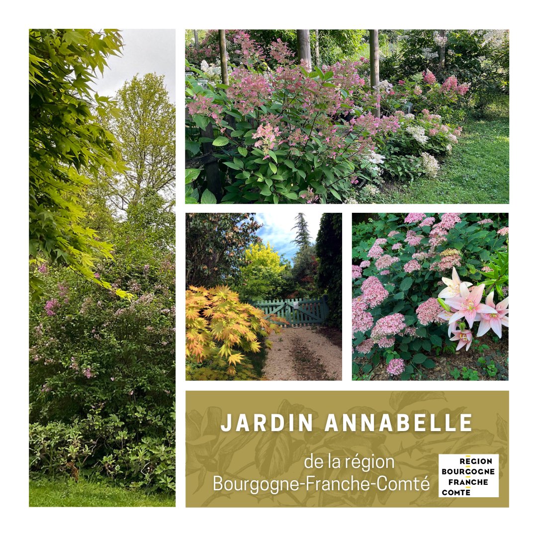 💐 Le Jardin Annabelle de la région Bourgogne-Franche-Comté rejoint l’association des amis des jardins remarquables européens
🔗aajre.org/bourgogne-fran…

@ministereCC @rdv_jardins @bfc_region
#JardinAnnabelle #bourgognefranchecomte #aajre #JardinRemarquable #Jardin #Nature #Europe