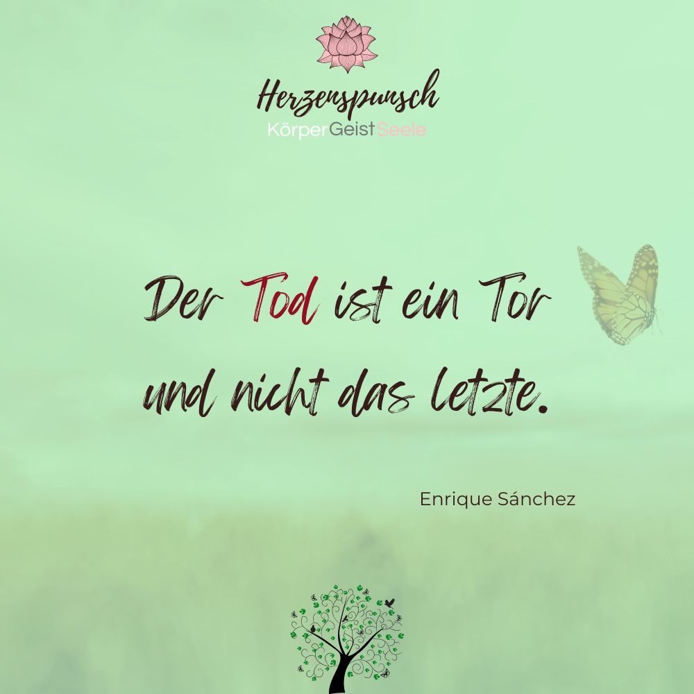 Jeder Weg hat einen Anfang und ein Ende, aber beide sind Teil desselben Pfades. 

👉 herzenspunsch.de

#Leben #Ende #Zitate #Zitat #Herzenspunsch #ZitatDesTages #Lebensweisheiten #Motivation #Persönlichkeitsentwicklung #Wachstum #Ziele #ZieleErreichen #Sprüche