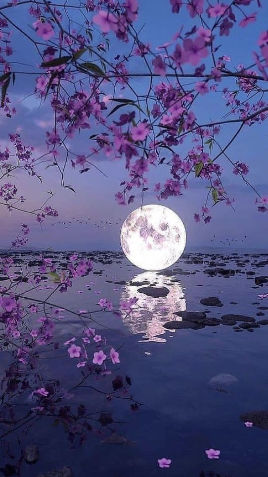 Good night dear friends 😴💖✨