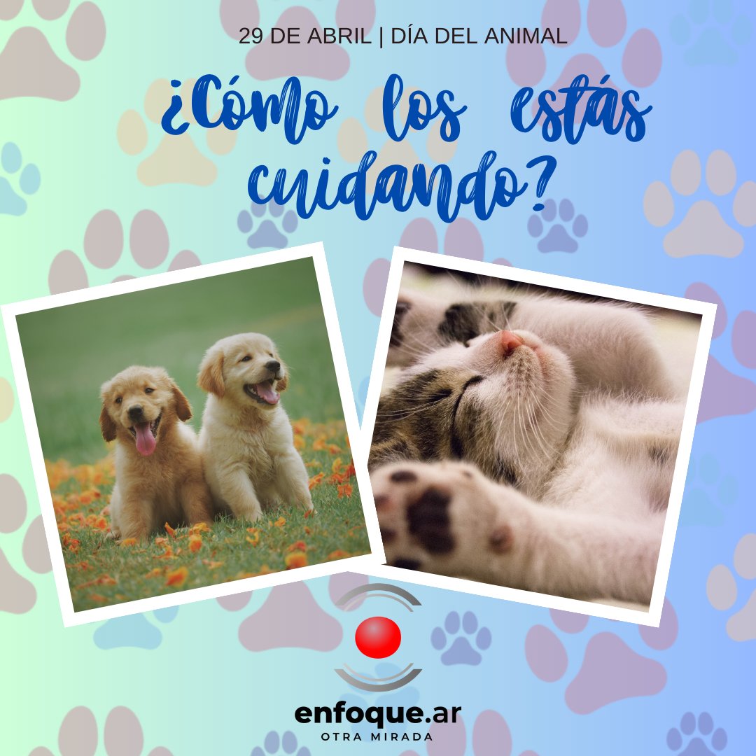 𝙀𝙡 𝙇𝙚𝙜𝙖𝙙𝙤 𝙙𝙚 𝘾𝙤𝙢𝙥𝙖𝙨𝙞ó𝙣: 𝘾𝙚𝙡𝙚𝙗𝙧𝙖𝙣𝙙𝙤 𝙚𝙡 𝘿í𝙖 𝙙𝙚𝙡 𝘼𝙣𝙞𝙢𝙖𝙡 𝙚𝙣 𝙃𝙤𝙣𝙤𝙧 𝙖 𝙄𝙜𝙣𝙖𝙘𝙞𝙤 𝙇𝙪𝙘𝙖𝙨 𝘼𝙡𝙗𝙖𝙧𝙧𝙖𝙘í𝙣
🐾🐶💕 No te pierdas nuestra nota completa 📖enfoque.ar/index.php?nota…