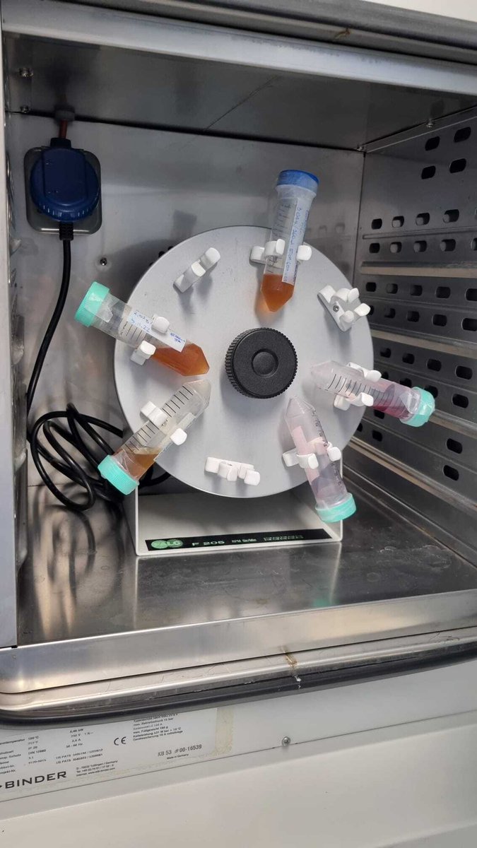 PHENOLEXA CBE-JU | H2020 Project tweet media