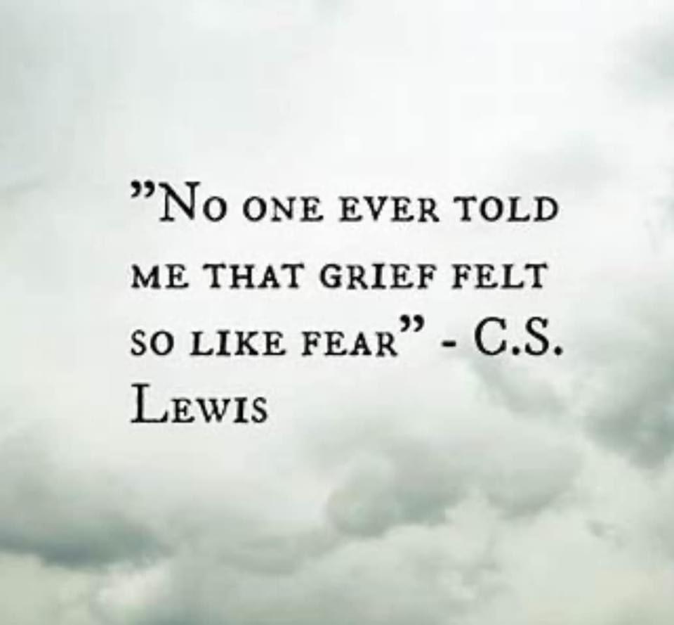 So profoundly true… ❤️❤️❤️ We need to talk about this more. 🙏🏻 It can take your breath away. Overwhelming fear has been such a big part of my process. When all the bloodwork came back normal, the only thing left was grief. Anyone else have this experience?