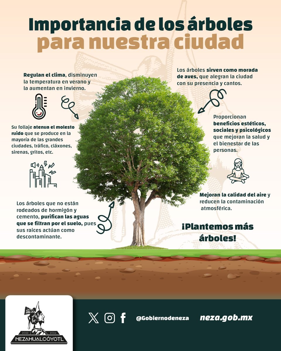 #MedioAmbiente 🌎 | ¿Por qué es importante plantar árboles? 🌳 Plantar un árbol 🌱 es cultivar la esperanza de una mejor calidad de vida porque: ✅Producen oxígeno y purifican el aire. 🌬 ✅Reducen la temperatura del suelo🌡 ✅Sirven como refugios para la fauna🐦