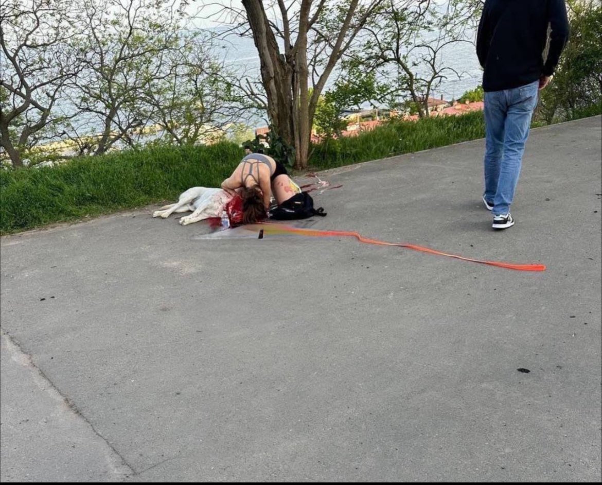 La sera nella città civile ucraina a #Odesa, una passeggiata con i cani sul lungo mare. Le bombe russe. 4 persone sono state uccise. 17 feriti. I numeri saranno aggiornati. #RussiaIsATerroristState