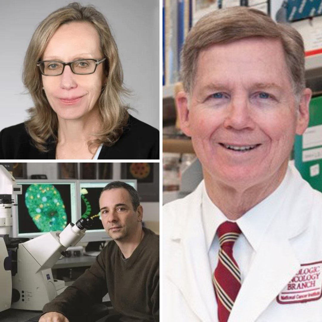 Congratulations to @theNCI's Drs. W. Marston Linehan, Andre Nussenzweig, and Brigitte Widemann on their @HHSGov Departmental Awards. These awards recognize and honor HHS employees and teams who distinguished themselves in the previous year. #NIH_IRP
