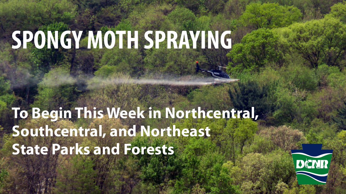 Aerial spraying of 18 #PaStateParks and 12 #PaStateForests in northcentral, southcentral, and northeast Pennsylvania to combat spring spongy moth outbreaks is set to begin this week. It is safe to be in the woods when spraying occurs. Learn more ➡️ bit.ly/3UnpU25.