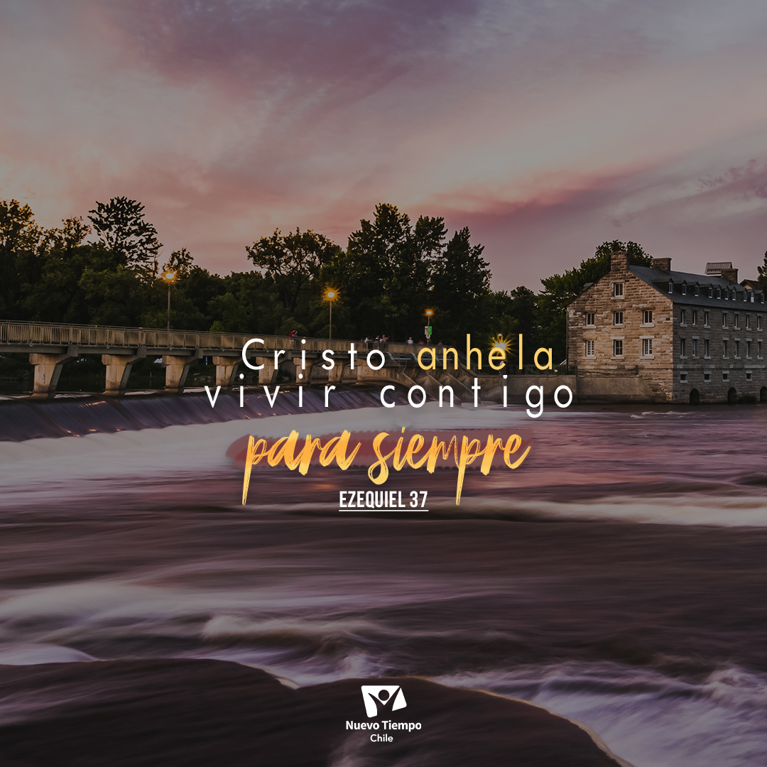 ✝️¡Cristo entregó su vida para darte perdón y vida eterna! El Señor anhela ese glorioso momento donde vivirá junto a ti y tú gozarás de Su maravillosa presencia y hermosa compañía.💗

#RPSP #PrimeroDios #Ezequiel37

🎧  Escucha este RPSP spotify.link/tzPeigidrDb