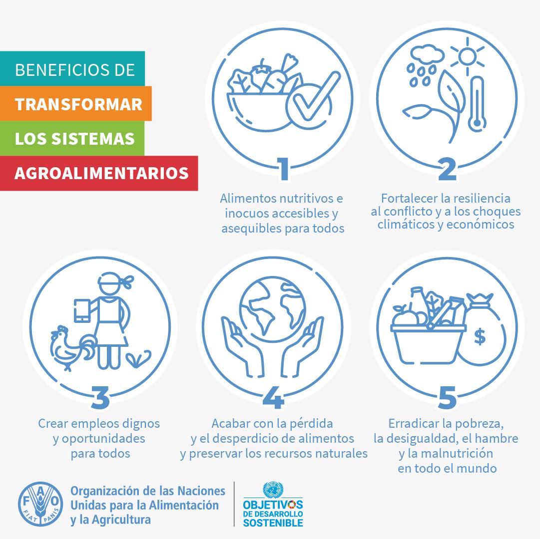 🔎 Conoce los beneficios de la transformación de los #SistemasAgroalimentarios: 🌱 Mejor producción 🍲 Mejor nutrición 🌤️Mejor medio ambiente 👧Una vida mejor ¡Ayúdanos a compartir y lograr un 🌏#SeguridadAlimentaria!