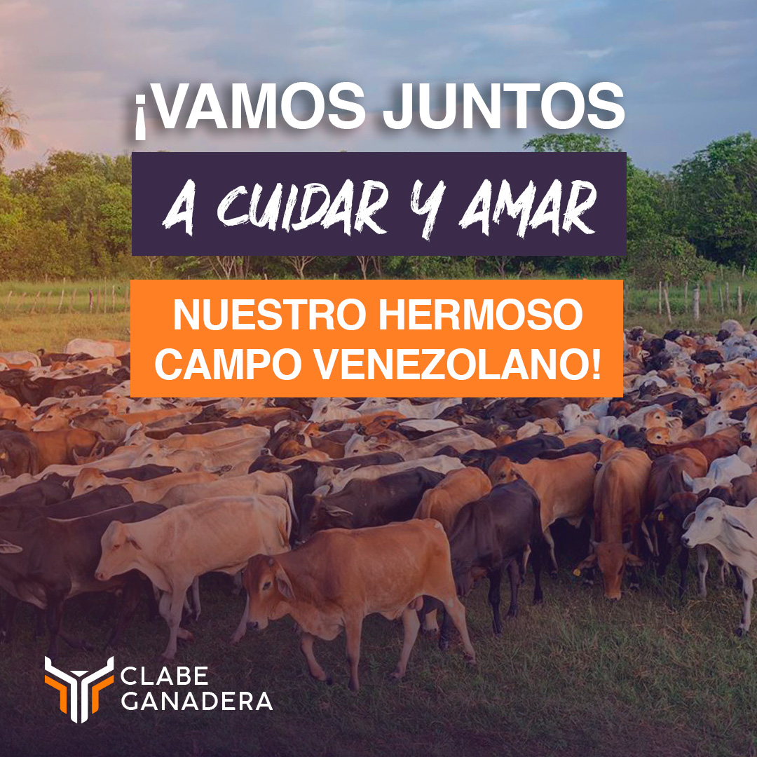 Vive la experiencia de ser un #GanaderoClabe y conviértete en un agente de transformación social ¡Tú eres la clave para un futuro sostenible! #Clabe Ganadera #Venezuela #Ganaderia