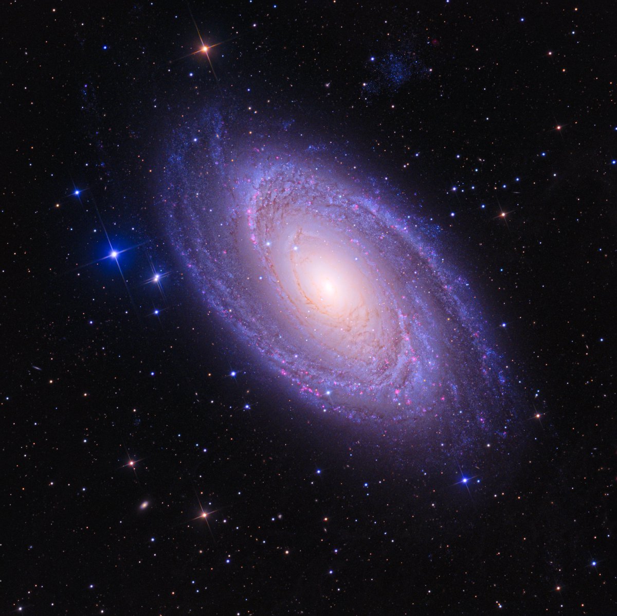 The beautiful spiral galaxy M81, 12M light-years away from Earth.
