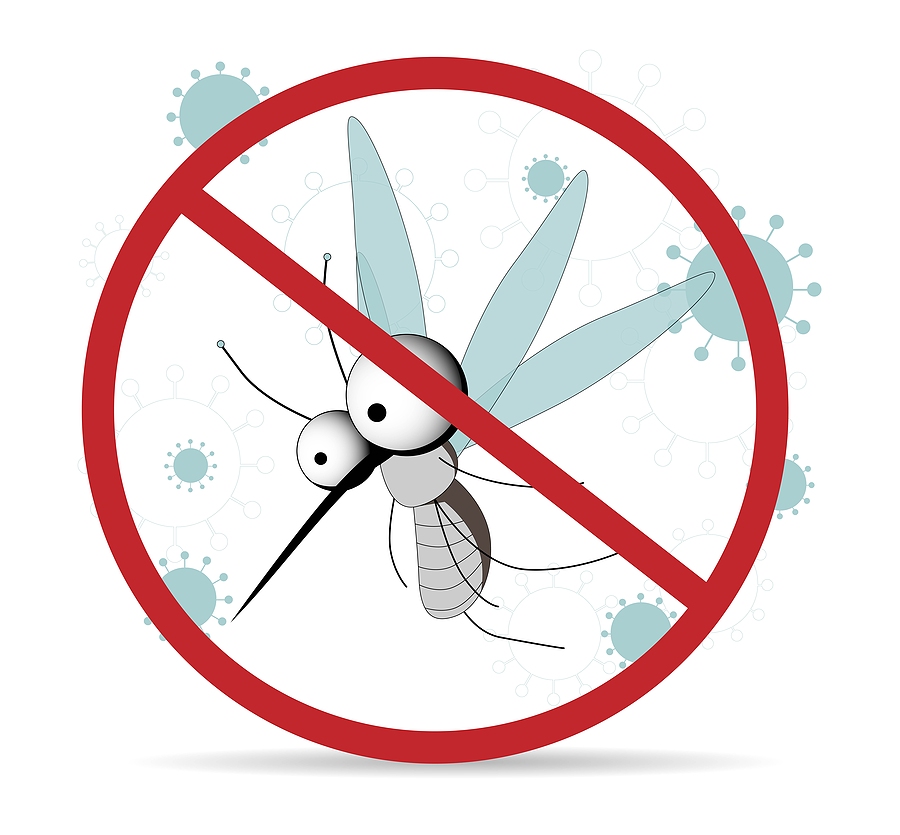 🦟 Ready to bid farewell to buzzing invaders? Don't wait for the swatting season to start – start mosquito control early! Take the first step towards a bite-free summer today!  #MosquitoControl #BiteFreeSummer getbiolawn.com/mosquito-and-t…