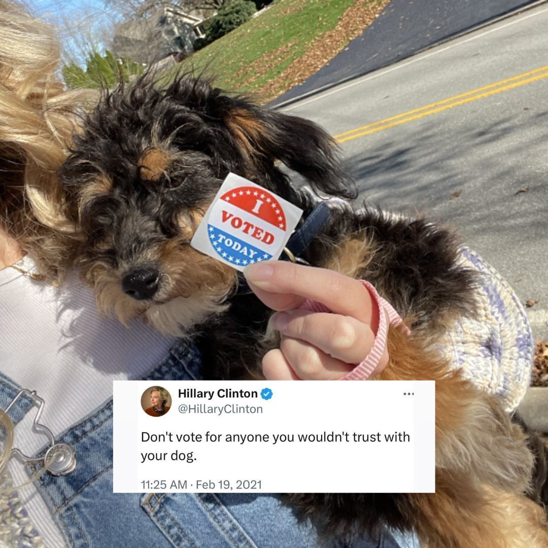Was your dog marked safe from the Kristi Noem news over the weekend? As @HillaryClinton said, don't vote for anyone you wouldn't trust with your dog. Here at RWB we want to see your favorite pics of your democratic doggies!