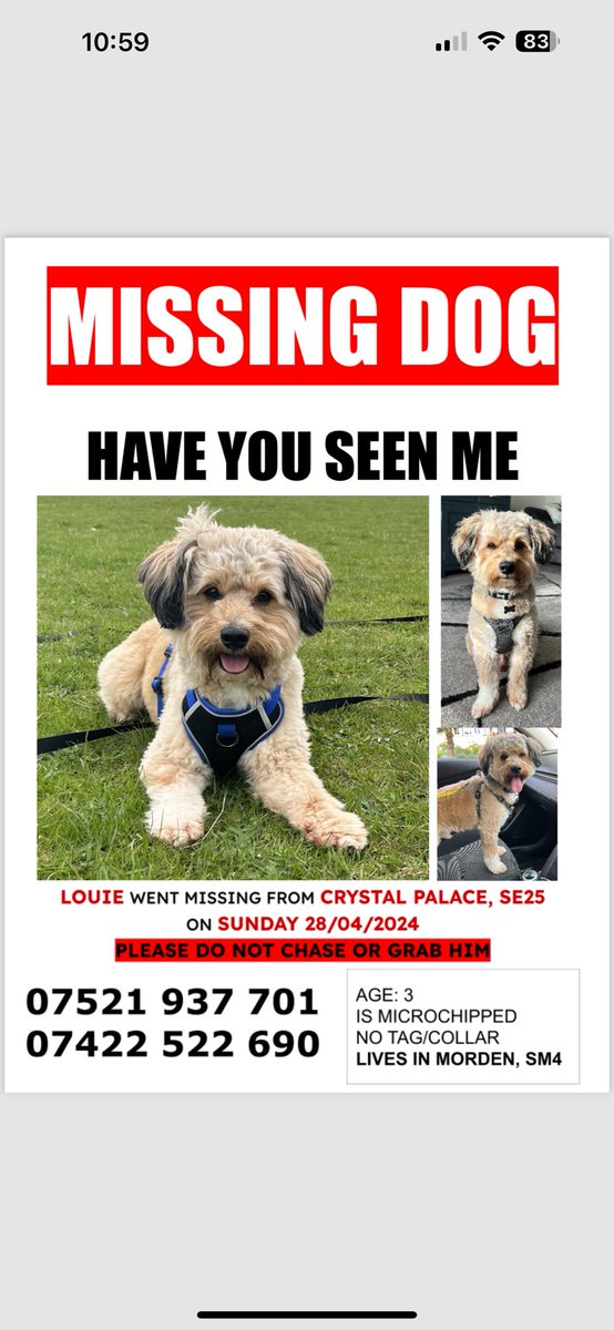 Louie still missing #Crystalpalace #Se25. @CPFC @CrystalPalacePK @DulwichCollege #Dulwich #HerneHill #Brockwellpark #Help #FindLouie facebook.com/share/p/5dCCZG…