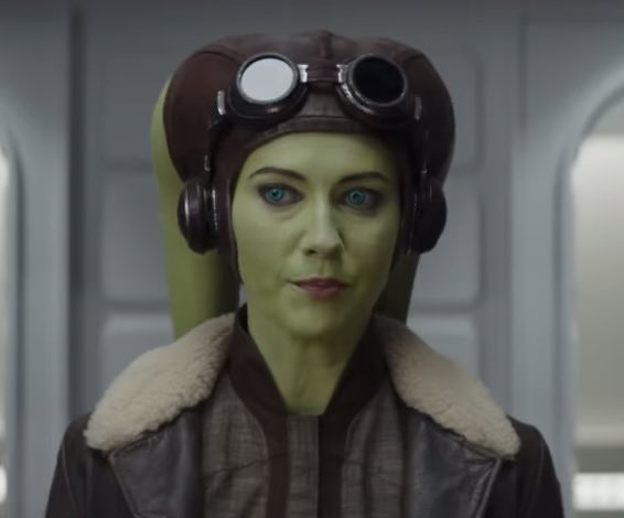 “Everyone is allowed to dislike characters-”

WRONG! You are not allowed to dislike Hera Syndulla 💚

Because I said so

(/s… kinda, although disliking her is a major 🚩)