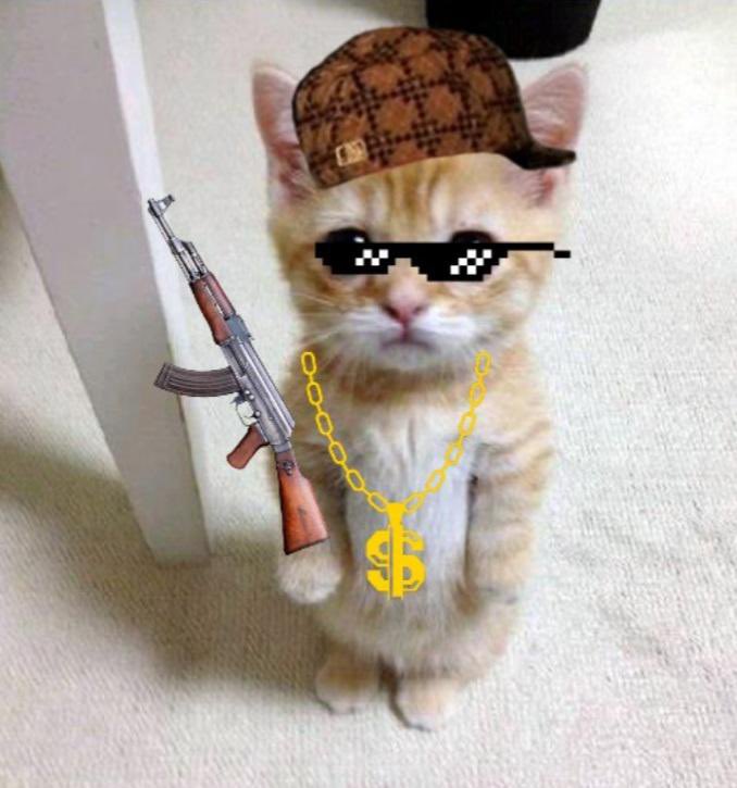 @IHunt100xGems I stay steady $MEOW-ing. <a href="/meowmeowerc20/">Meow Meow Coin</a>