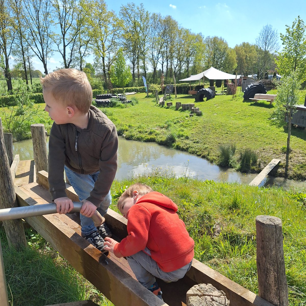 Fenny van Ark tweet media