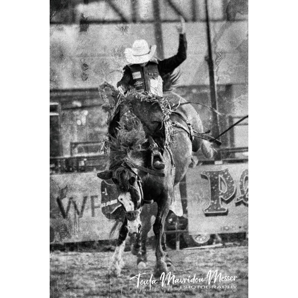 #AlphabetChallenge #WeekR 
R is for rodeo.
