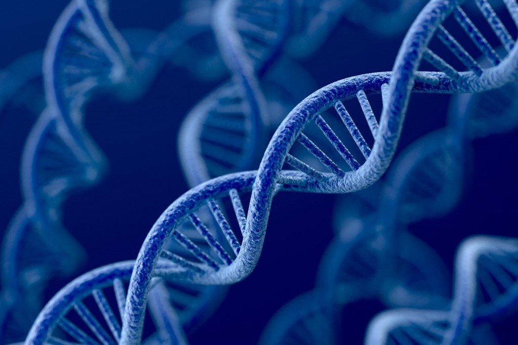 Melhoria genética: Em termos genéticos, a miscigenação pode levar a uma maior diversidade genética, o que pode diminuir a incidência de doenças genéticas e aumentar a resiliência a doenças.
