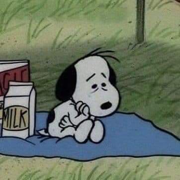 X:“no puedes identificarte con snoopy”
yo: