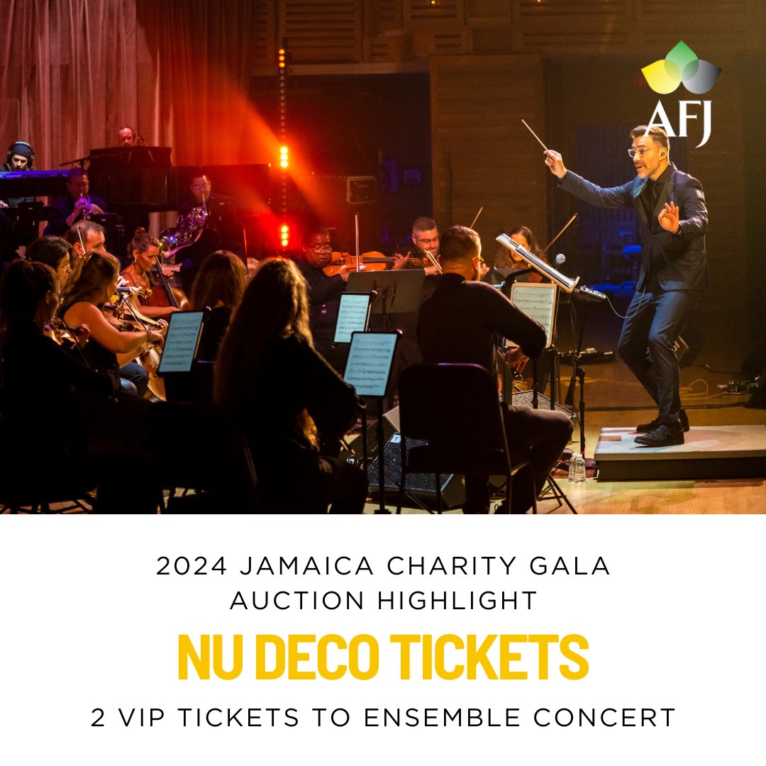 Our incredible Auction Catalog launched today. The 2024 Jamaica Charity Gala will be held this Saturday, May 4th. You can start the fun now. Bid on unique experiences while supporting meaningful charitable causes in Jamaica. Bid along and Make A Difference! See link in bio.