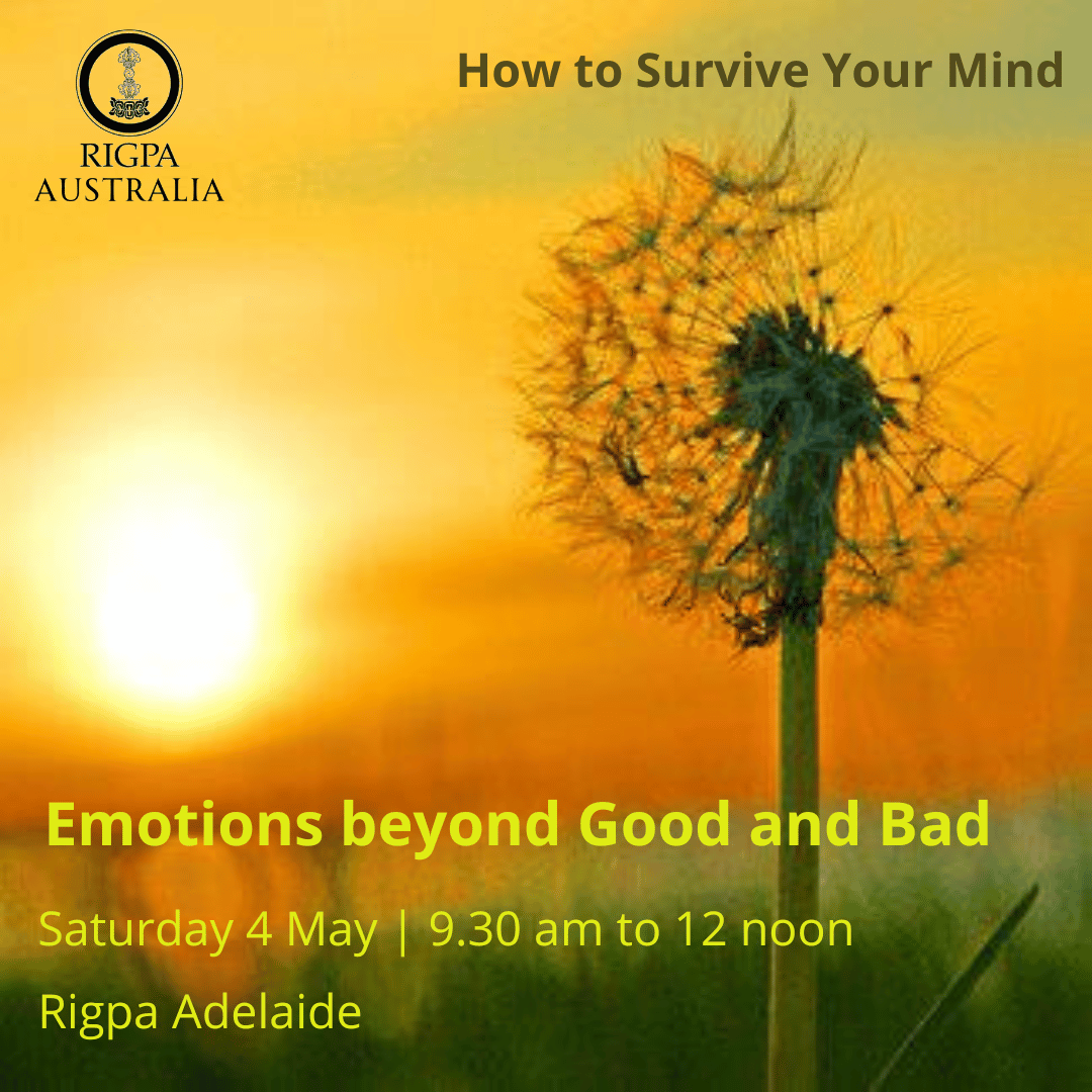 Emotions: Beyond Good and Bad
A session of How to Survive Your Mind – mindfulness, awareness and compassion practices for yourself in everyday life.

rigpa.org.au/event/emotions…

#whatsonadelaide #adelaide #discoveradelaide
#meditateinadelaide #theosophical #southterraceadelaide