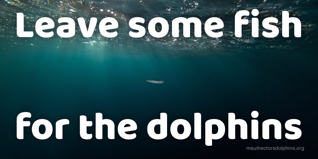 The fishing industry directly kills dolphins.  It also impacts dolphins by reducing their food up to 60%
Too much pressure! 
Sign and share the petition calling on ECan to protect Hector's, their habitat and their health
#ECanprotecthectors
#protecthectors
community.greenpeace.org.nz/petitions/ecan…