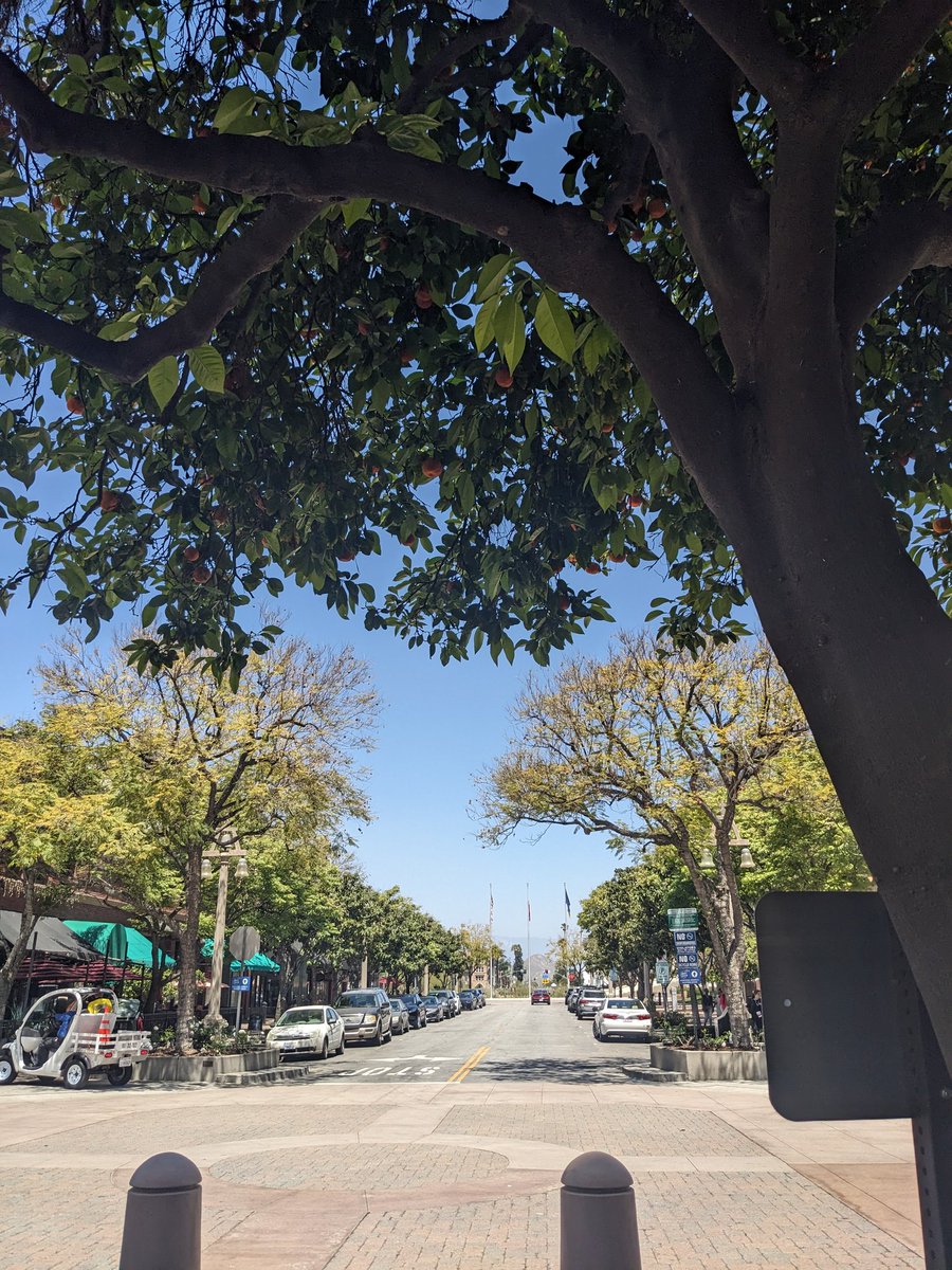 CGHodoli's tweet image. What&apos;s the temp here...any guess? Looking forward to my first experience! #ASIC2024 we would be giving brief talks on carbon black with microAeth Aethlabs MA350 from the E3-Lab + agricultural air quality with seed fund from @NSF funded #CAMS-Net. See you :)