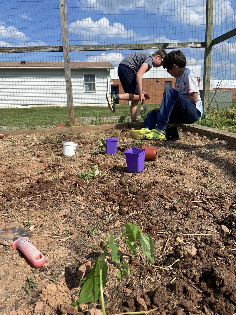 Mrs.Anderson (@mrsaallday) on Twitter photo We have water! Everyone, send some happy photosynthesis vibes to our seedlings. The βοΈ and soil will take it from here...π¬<a href="/SRMS_Official/">Seneca Ridge Middle</a> We have water! Everyone, send some happy photosynthesis vibes to our seedlings. The βοΈ and soil will take it from here...π¬<a href="/SRMS_Official/">Seneca Ridge Middle</a>