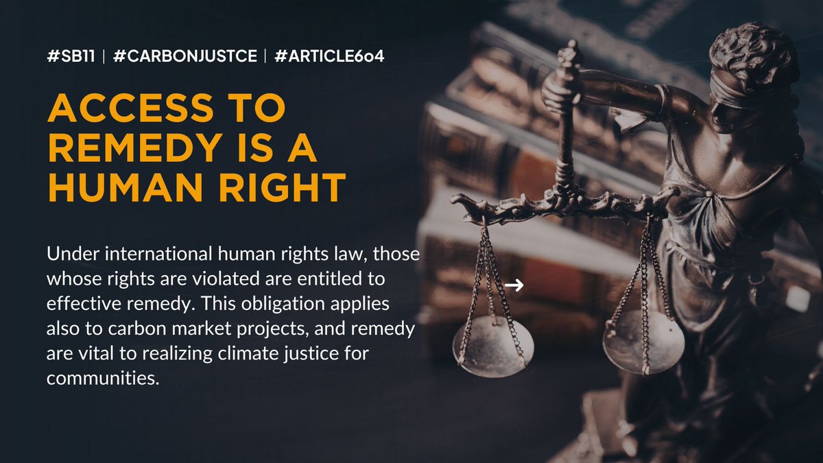 🚨HAPPENING NOW: The 11th meeting of the  carbon market mechanism under the #ParisAgreement's [#Article6o4] Supervisory Body. 

#SB11 #CarbonJustice #VoicesWeNeed #RightToRemedy #ClimateReparatons #ClimateJustice #ParisAgreement #Article6o4

@UnsinkableMPS  @ohoisin @UNFCCC