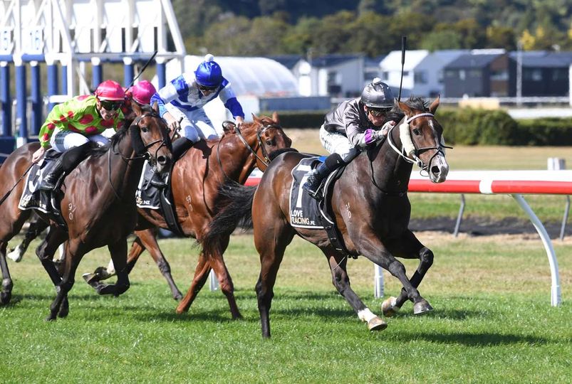 Riverrock Farm's rising star #Outovstock (NZ) arrived safely across the ditch last week. ✈️

We look forward to seeing them get down to business 🏇😎

#GoingtheExtraMile✈️