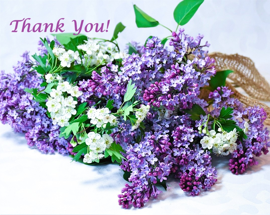 Lilacs for YOU!

Deep thanks to all of my -- and Ella Shane's -- friends for making this launch day amazing!

(And, yeah, one more time -- go buy a copy of A FATAL RECEPTION!)

#writerslife #mystery #mysterywriter #histfic #gildedage #gildedagenyc #historicalromance