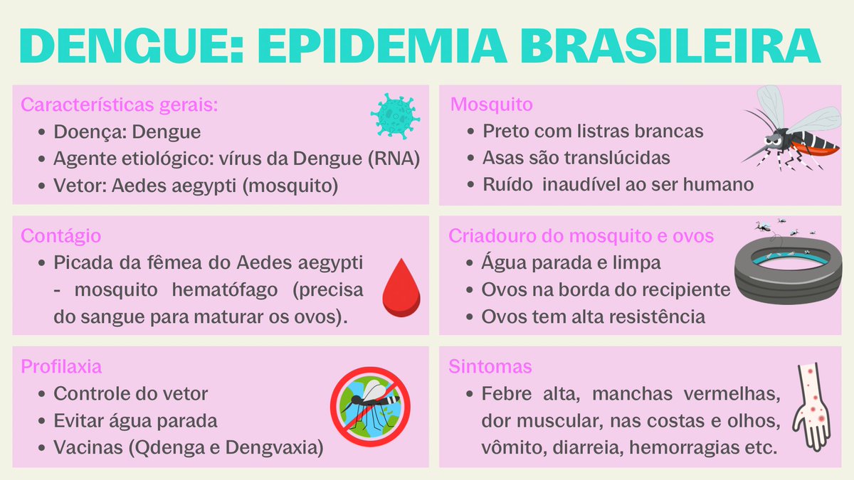 Flashcard DENGUE: epidemia brasileira! Já salva esse conteúdo para o vestibular 🧠🚀