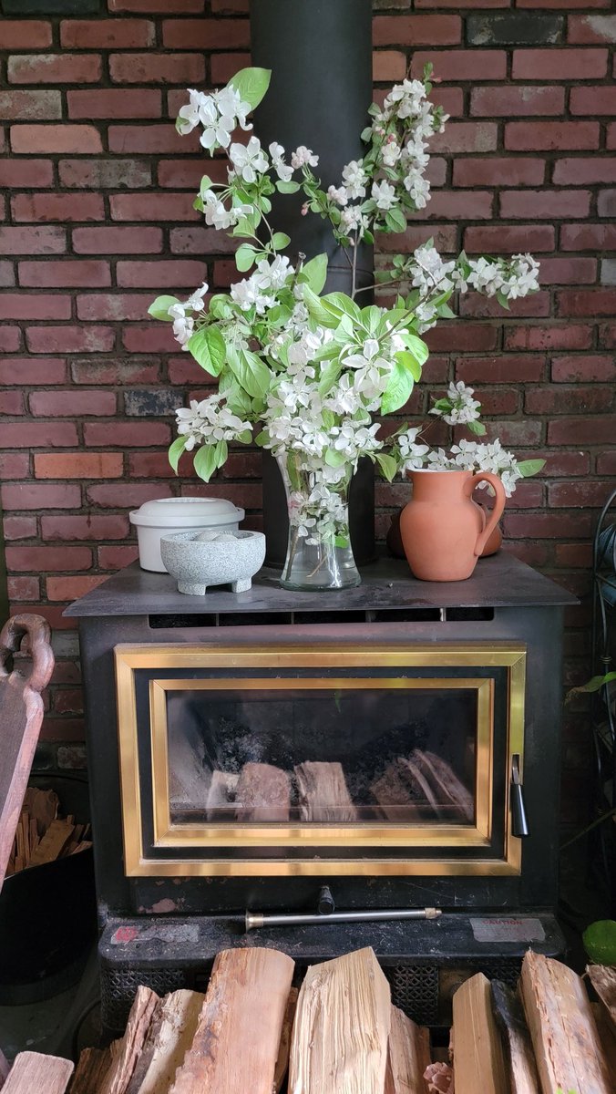 the crabapple tree is finally blooming. Hudson Valley spring has arrived