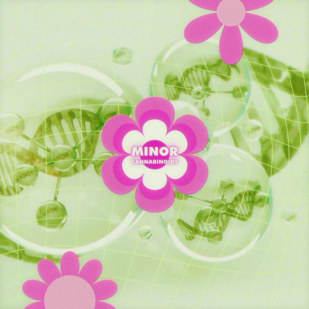 Say hello to nature's hidden gems: THCV, CBC, CBN, and CBG 🌱

Found naturally in flower and full-spectrum products, they're finally getting the recognition they deserve in mainstream discussions.

Do you dabble in minor cannabinoids? Which ones are your favourite?