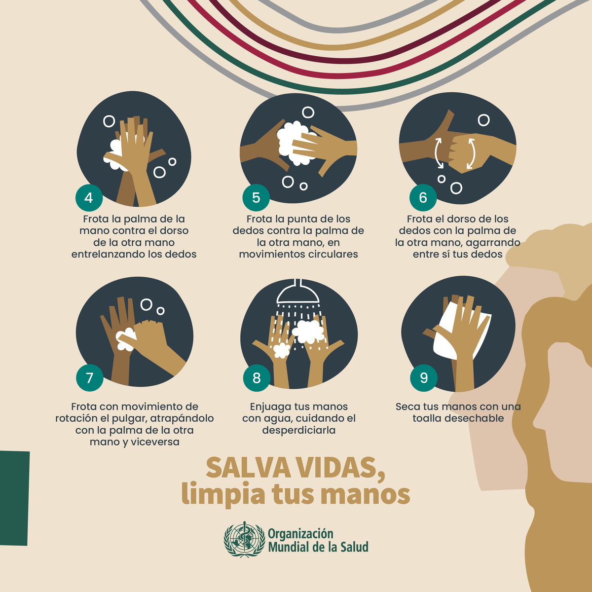 Este próximo 5 de mayo se conmemora el Día Mundial de la #HigieneDeManos
La higiene de manos con agua y jabón y/o soluciones de alcohol en gel, representa una de las medidas de prevención de infecciones y de contagio de enfermedades, más efectiva.
¡Fomentemos #HábitosSaludables!