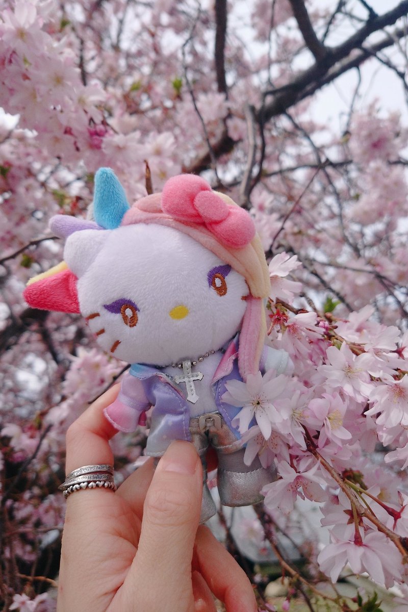 I have Nashi blossom & cherry blossom blooming in my city!🌸🍒🍐

Vote for #yoshikitty everyday!🗳️💕
ranking.sanrio.co.jp/en/characters/…

And hoping #YOSHIKI gets well soon!
#サンリオキャラクター大賞 
#SanrioCharacterRanking