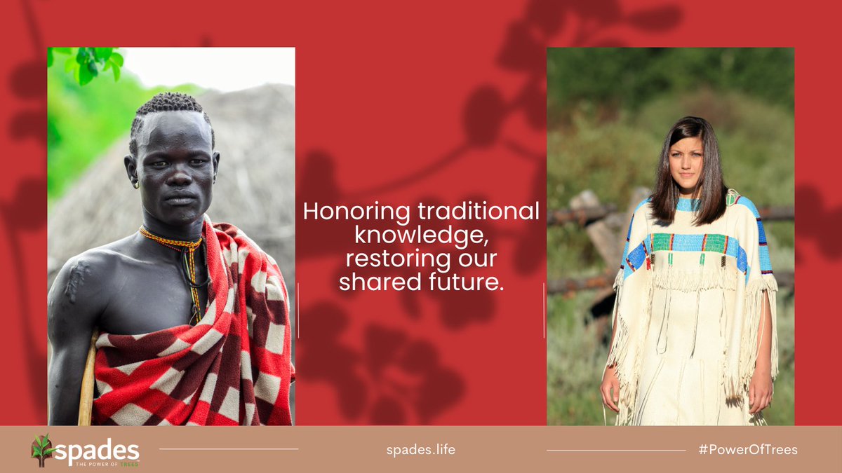 Our projects support vibrant communities and traditional cultures across diverse ecosystems. Let's work together to cultivate sustainability worldwide. Learn more at spades.life/spades_overvie… #Biotech #Sustainability #PowerOfTrees