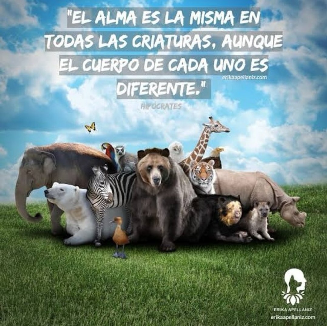 Hoy es #DiaDelAnimal pero también día de amor, cariño, lealtad y de todo lo bueno y honesto en este mundo, porque eso son los animales... lo mejor y lo mas sincero en un mundo que necesita tanto de ellos ...
Cuidemos y respetemos su vida... seamos su voz 🐾🕉