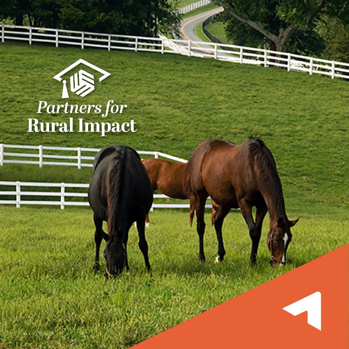 Are you attending #RuralSummit24? Senior Program Officer Kirstin Yeado is moderating “Designing Apprenticeships in Rural Communities” with Mary Wurtz, Vanessa Bennett, Eric Dunker, and Erin Crisp at 11 a.m. on April 30. bit.ly/4aWORIr

#AscendiumEP @PartnersRural