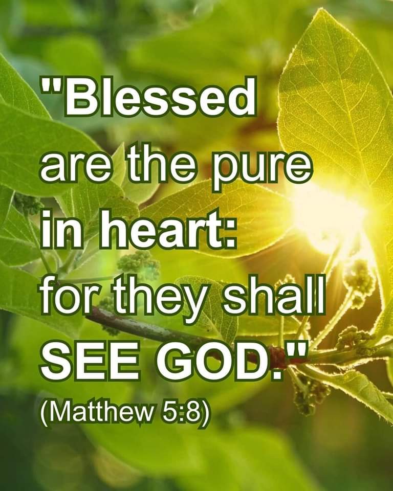 The pure in heart shall see God.